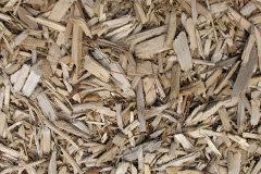 biomass boilers Bow Common